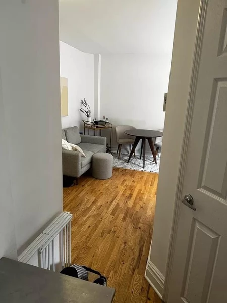 Studio Apartment for rent in Brooklyn Heights - Brooklyn, New York