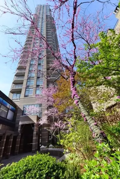 1 bedroom apartment for rent in Upper East Side - Manhattan, New York