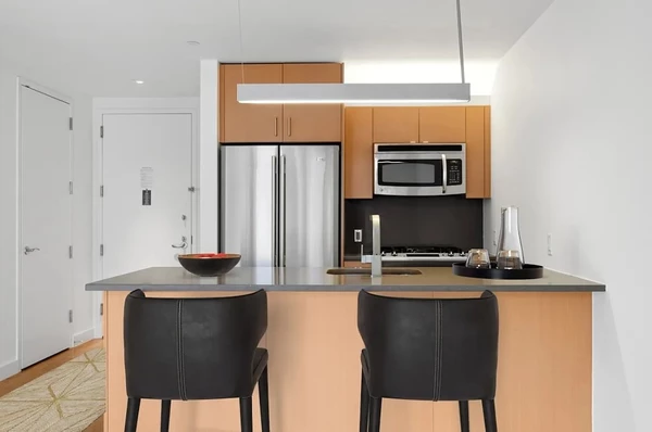 1 bedroom apartment for rent in FiDi - Manhattan, New York