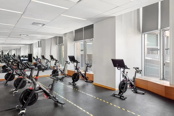 1 bedroom apartment for rent in FiDi - Manhattan, New York