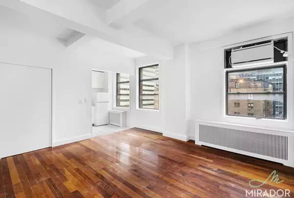 1 bedroom apartment for rent in Midtown East - Manhattan, New York