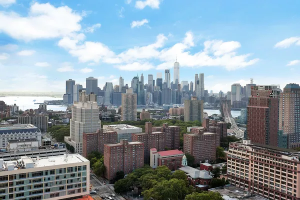 1 bedroom apartment for rent in Downtown Brooklyn - Brooklyn, New York