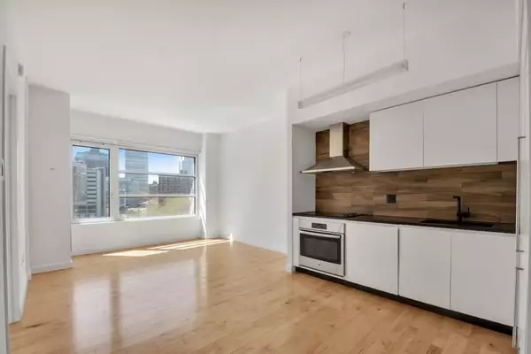 1 bedroom apartment for rent in Downtown Brooklyn - Brooklyn, New York