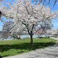 3 bedrooms apartment for rent in Morningside Heights - Manhattan, New York