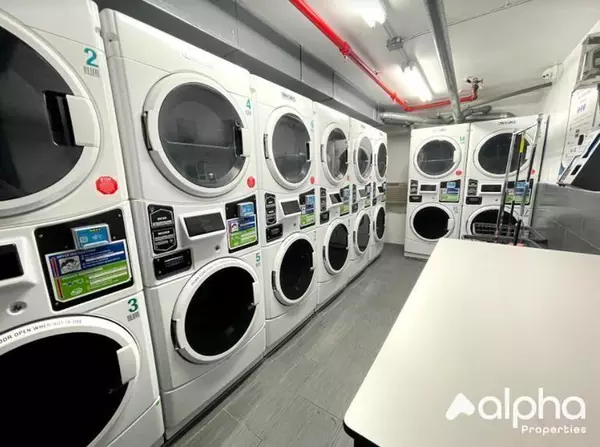 1 bedroom apartment for rent in Harlem - Manhattan, New York