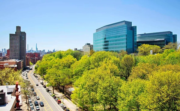 2 bedrooms apartment for rent in Harlem - Manhattan, New York