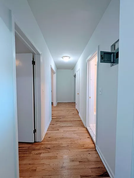 2 bedrooms apartment for rent in Flatbush Ditmas Park - Brooklyn, New York