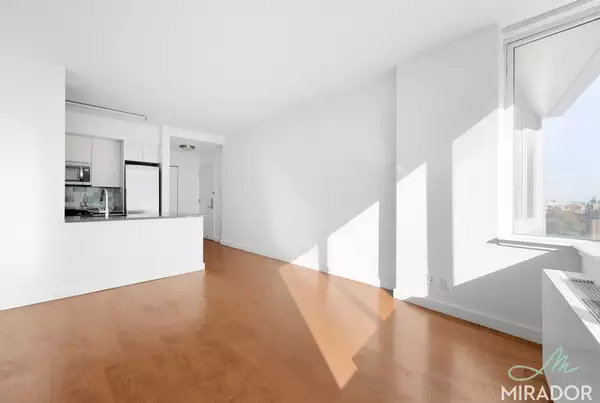 1 bedroom apartment for rent in Fort Greene - Brooklyn, New York