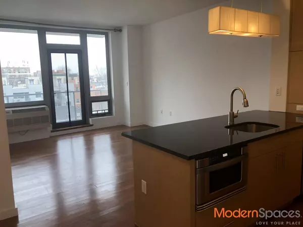 1 bedroom apartment for rent in LIC - Queens, New York