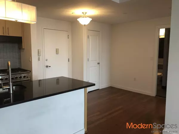 1 bedroom apartment for rent in LIC - Queens, New York