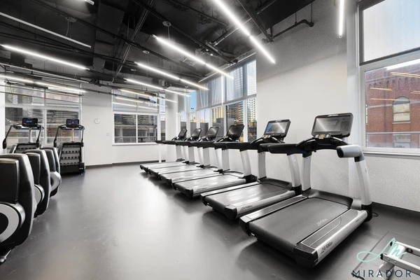 1 bedroom apartment for rent in Fort Greene - Brooklyn, New York