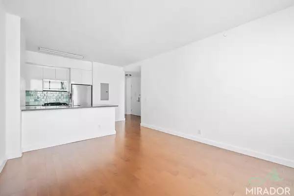 1 bedroom apartment for rent in Fort Greene - Brooklyn, New York