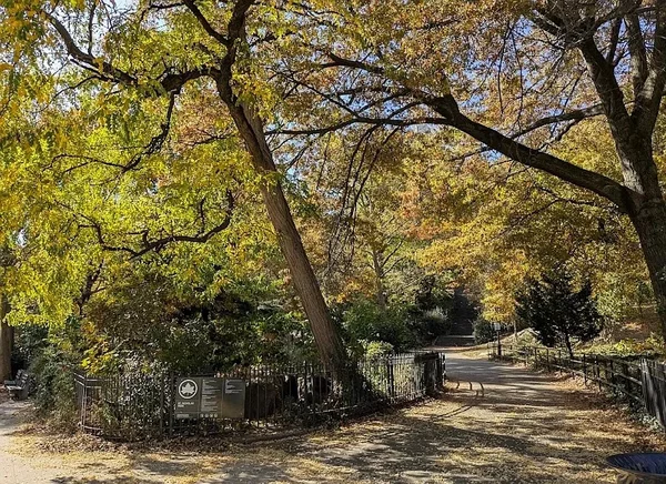 1 bedroom apartment for rent in Harlem - Manhattan, New York