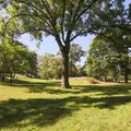 1 bedroom apartment for rent in Upper West Side - Manhattan, New York