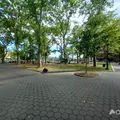 1 bedroom apartment for rent in Upper East Side - Manhattan, New York