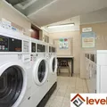 Studio Apartment for rent in Murray Hill - Manhattan, New York