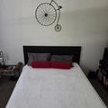 Room for rent in Plantation #3