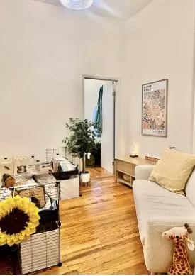 1 bedroom apartment for rent in Midtown East - Manhattan, New York