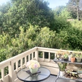Room for rent in Novato #1