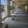 Room for rent in Reseda #21