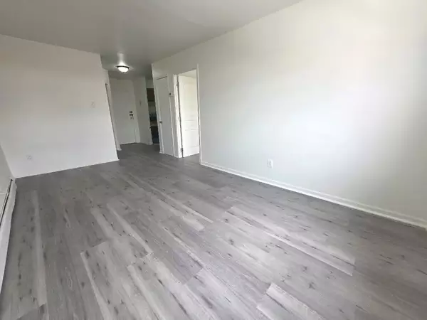 1 bedroom apartment for rent in Astoria - Queens, New York