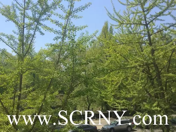 2 bedrooms apartment for rent in Harlem - Manhattan, New York