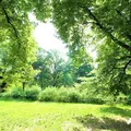 2 bedrooms apartment for rent in Upper East Side - Manhattan, New York