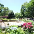 2 bedrooms apartment for rent in Union Square - Manhattan, New York