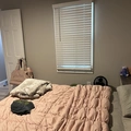 Room for rent in Colonialtown South #9