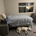 Room for rent in Glendale CA #4