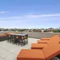 1 bedroom apartment for rent in Flatbush Ditmas Park - Brooklyn, New York