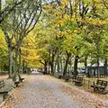 1 bedroom apartment for rent in Morningside Heights - Manhattan, New York