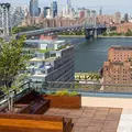 1 bedroom apartment for rent in Williamsburg - Brooklyn, New York