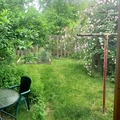 Room for rent in Vernon #3