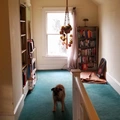Room for rent in Vernon #9