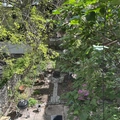 Room for rent in Park Slope #7