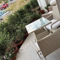 Room for rent in Winter Garden #8