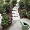 Room for rent in Winter Garden #7