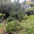 Room for rent in San Rafael #5