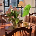 Room for rent in Williamsburg #2
