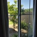 Room for rent in Clovis #1