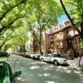 2 bedrooms apartment for rent in Greenpoint - Brooklyn, New York