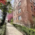 1 bedroom apartment for rent in Kingsbridge Heights - The Bronx, New York