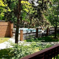 Room for rent in Victoria Village #8