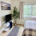 Room for rent in Boulder #1