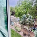Room for rent in Boulder #7