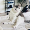 Room for rent in Boulder #11