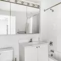 1 bedroom apartment for rent in LIC - Queens, New York