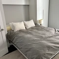 Room for rent in Logan Square #15