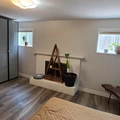 Room for rent in The Heights #3